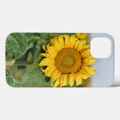 Fall Sunflower iPhone 13 Case-Mate iPhone Hülle (Rückseite (Horizontal))