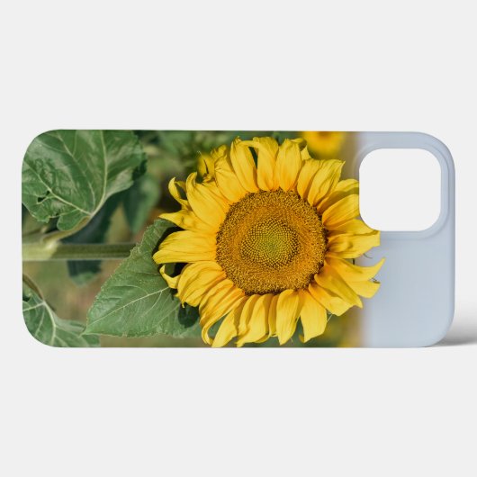 Fall Sunflower iPhone 13 Case-Mate iPhone Hülle (Rückseite (Horizontal))