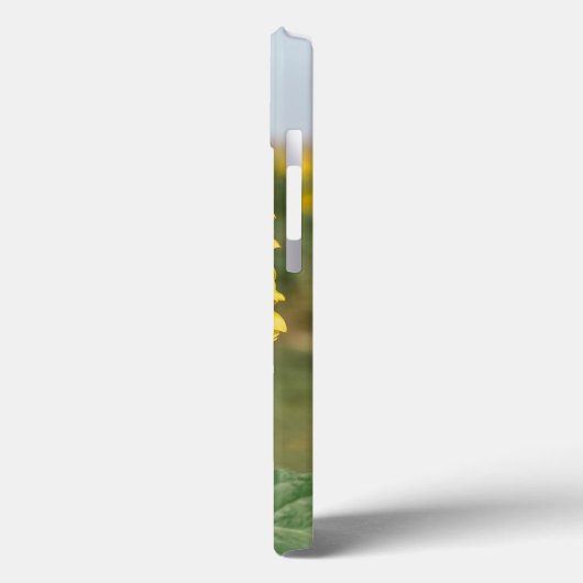 Fall Sunflower iPhone 13 Case-Mate iPhone Hülle (Rückseite / Links)