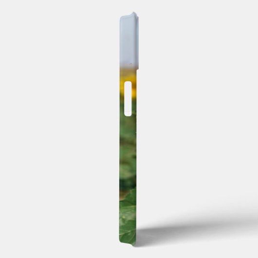 Fall Sunflower iPhone 13 Case-Mate iPhone Hülle (Rückseite / Rechts)