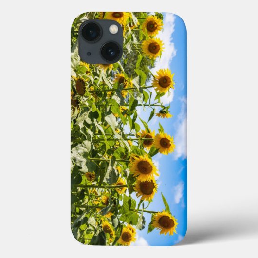 Fall Sunflower iPhone Case-Mate iPhone Hülle (Rückseite)