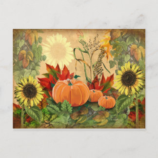 Fall Sunflower Pumpkin Herbst Postkarte