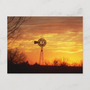 Fall Sunset Postkarte