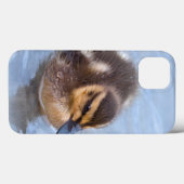 Fall "Swimming Duckling iPad" Case-Mate iPhone Hülle (Rückseite (Horizontal))
