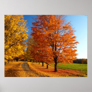 Fall-Szene in Vermont Poster