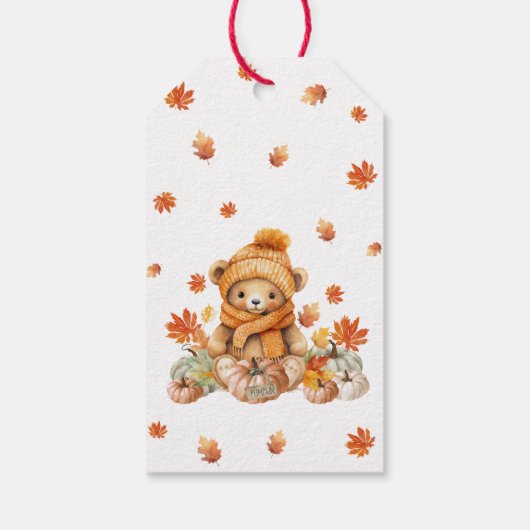 Fall Teddy Bar Vielen Dank Geschenkanhänger (Rückseite)