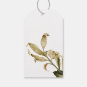 Fall Theme Baby Dusche Gefallen Geschenkanhänger (Rückseite)