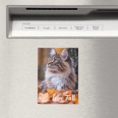 Fall Time Cat Magnet (In Situ (Geschirrspüler))