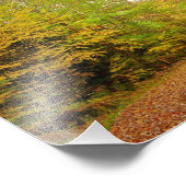 Fall Trail Foto (Ecke)