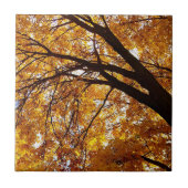 Fall Tree 2 Fliese (Vorderseite)