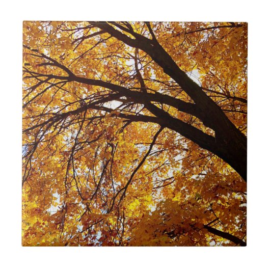 Fall Tree 2 Fliese (Vorderseite)