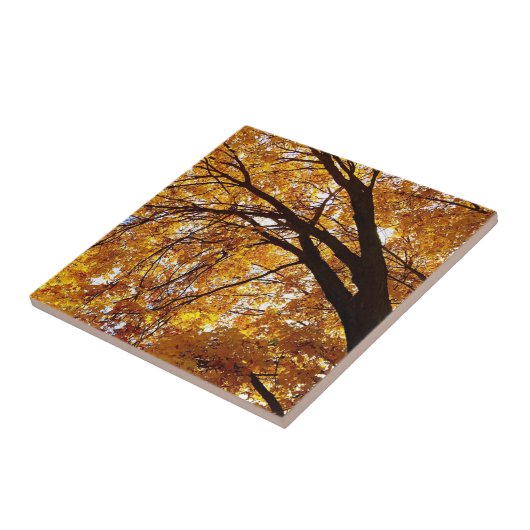 Fall Tree 2 Fliese (Seite)
