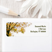 Fall-Tree-Adressetikett (Insitu)