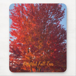 Fall Tree Bild | Mousepad