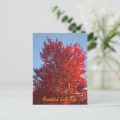 Fall Tree Bild | Postkarte (Stehend Vorderseite)