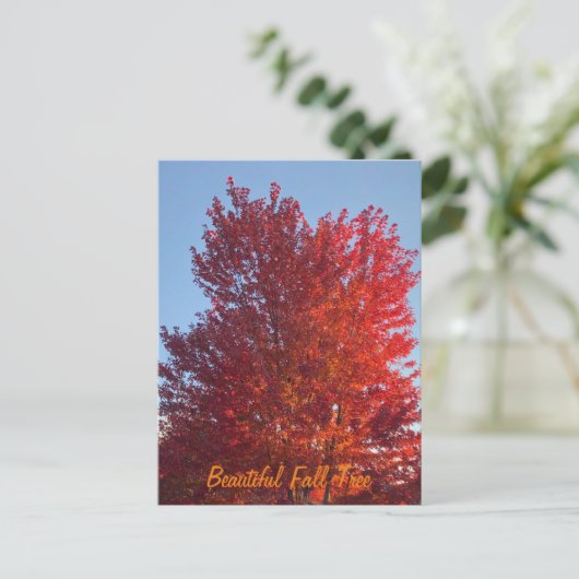 Fall Tree Bild | Postkarte (Stehend Vorderseite)