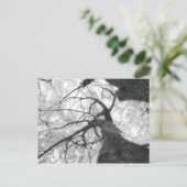 Fall Tree in Schwarz-Weiß-Postkarte Postkarte (Stehend Vorderseite)