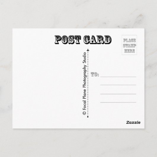 Fall Tree in Schwarz-Weiß-Postkarte Postkarte (Rückseite)