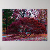 Fall Tree Landschaft Poster (Vorne)