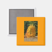 Fall Tree Magnet (Vorderseite/Rückseite)