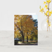 Fall Tree - "Our Street" - Note Card Karte (Gelbe Blume)