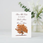 Fall Tree Save the Date Postkarte. Ankündigungspostkarte (Stehend Vorderseite)