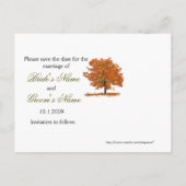 Fall Tree Save the Date Postkarte. Ankündigungspostkarte (Rückseite)