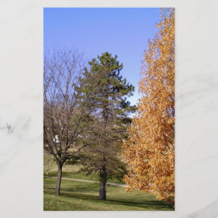 Fall Trees Briefpapier