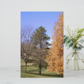 Fall Trees Briefpapier (Stehend Vorderseite)