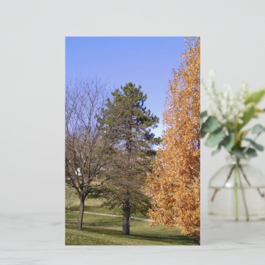 Fall Trees Briefpapier (Stehend Vorderseite)