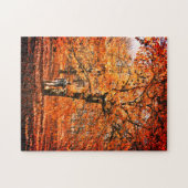 Fall Trees Fallen Blätter Puzzle (Horizontal)