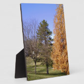 Fall Trees Fotoplatte (Seite)