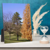 Fall Trees Fotoplatte (Seite)