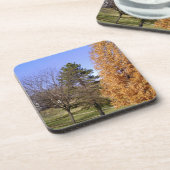 Fall Trees Getränkeuntersetzer (Linke Seite)