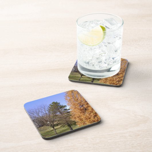 Fall Trees Getränkeuntersetzer (Rechte Seite)