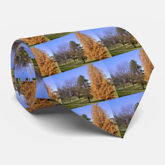 Fall Trees Krawatte (Gerollt)