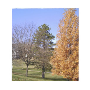 Fall Trees Notizblock