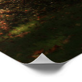 Fall Trees Poster (Ecke)