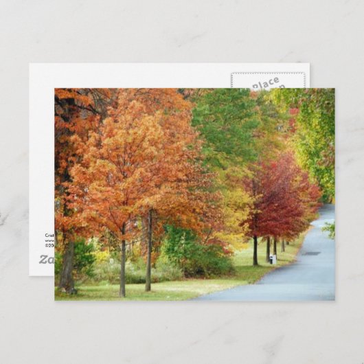 Fall Trees Postkarte (Vorne/Hinten)