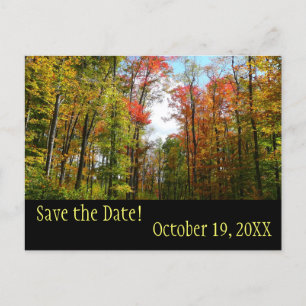 Fall Trees und Blue Sky Save the Date Postcard Ankündigungspostkarte