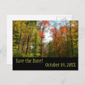 Fall Trees und Blue Sky Save the Date Postcard Ankündigungspostkarte (Vorne/Hinten)