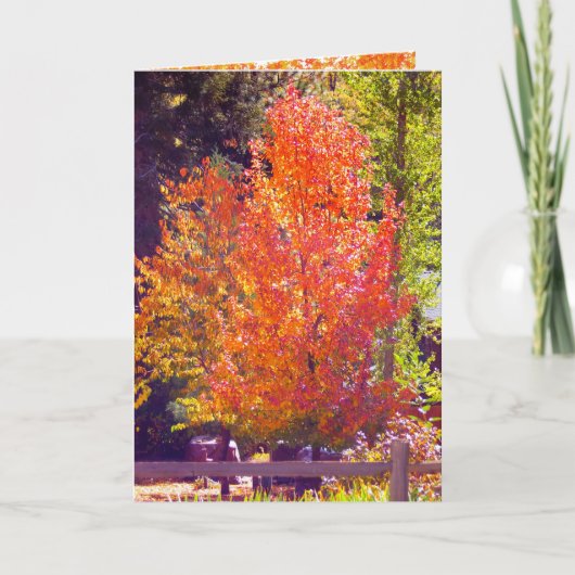 Fall und Erntedank Karte 2 (Vorderseite)