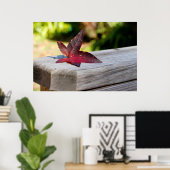 Fall Verlassen Poster (Heimbüro)