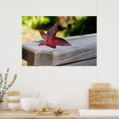 Fall Verlassen Poster (Küche)