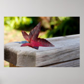 Fall Verlassen Poster (Vorne)