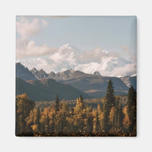 Fall View of Denali, McKinley Magnet (Vorne)