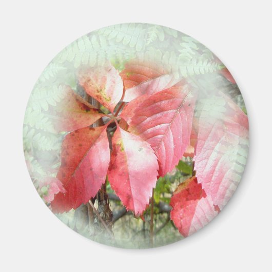 Fall Virginia Strampler Vine Magnet (Vorne)