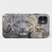 Fall Vishnu Snow Leopard iPhone 5 Fall Mate Case-Mate iPhone Hülle (Rückseite (Horizontal))