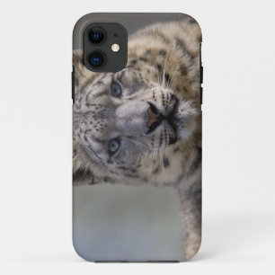 Fall von Himalayan Prince iPhone 5 Case-Mate Hülle