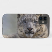 Fall von Himalayan Prince iPhone 5 Case-Mate Hülle (Rückseite (Horizontal))